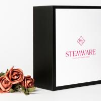 Champagne glass wedding wine glass set: 2 pieces of crystal tall wine glasses with gift box