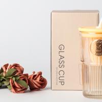 Wholesale customized logo water cups, colored glass drinking bottles with LIDS as gifts